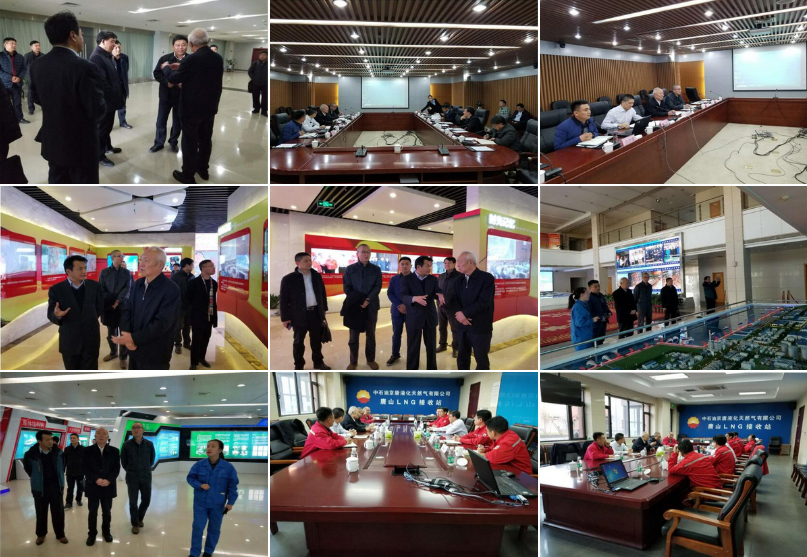 best365ҳ¼(Ψһ)йٷվ