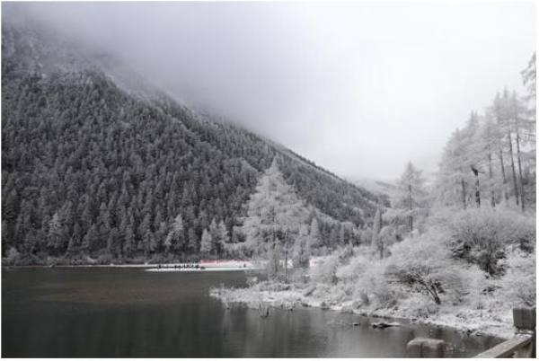 best365ҳ¼(Ψһ)йٷվ