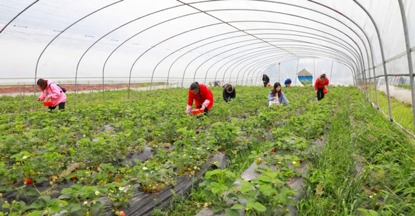 best365ҳ¼(Ψһ)йٷվ