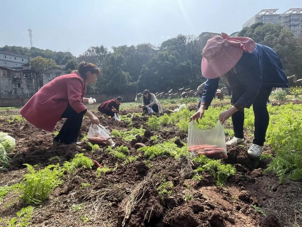 best365ҳ¼(Ψһ)йٷվ